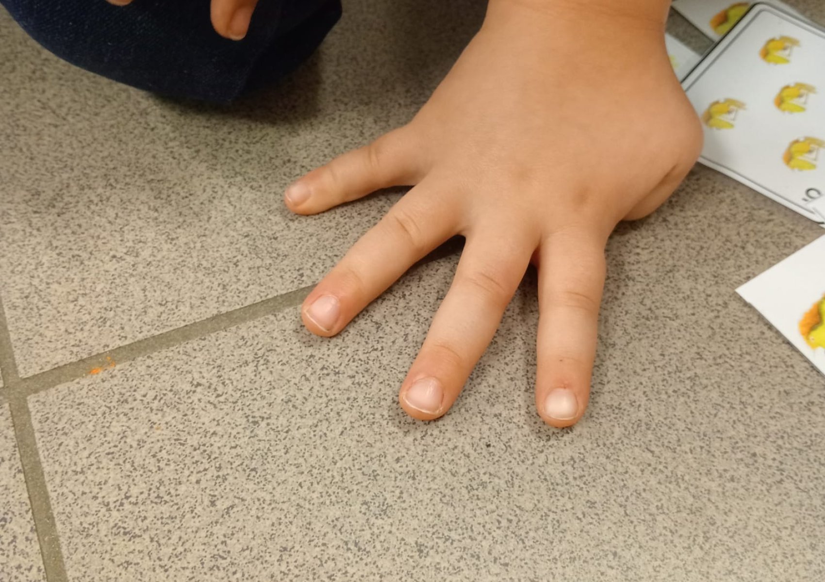 whatsapp image 2026-01-16 at 22.47.24 3